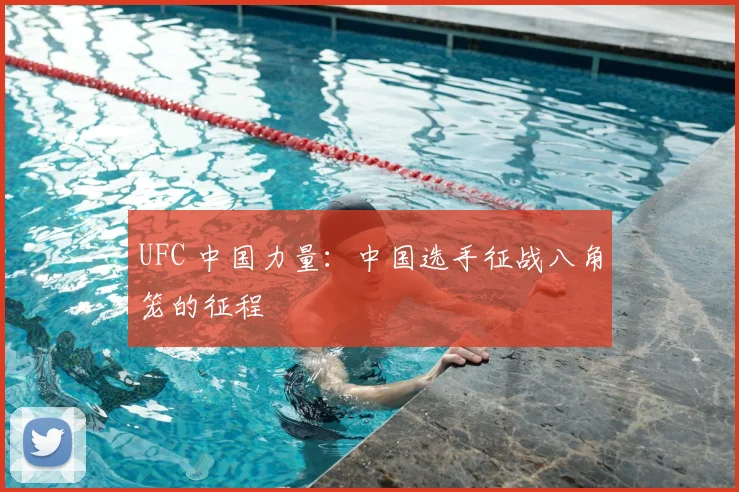 UFC 中国力量:中国选手征战八角笼的征程