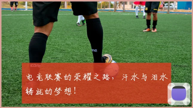 电竞联赛的荣耀之路,汗水与泪水铸就的梦想!