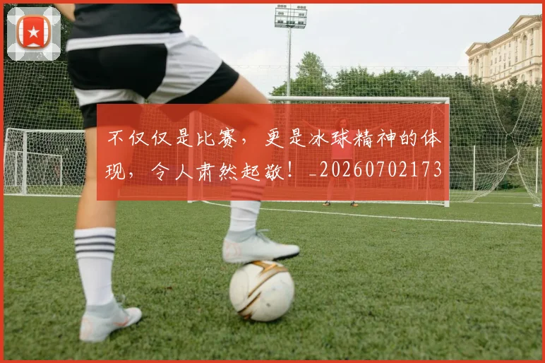 不仅仅是比赛，更是冰球精神的体现，令人肃然起敬！_20260702173249