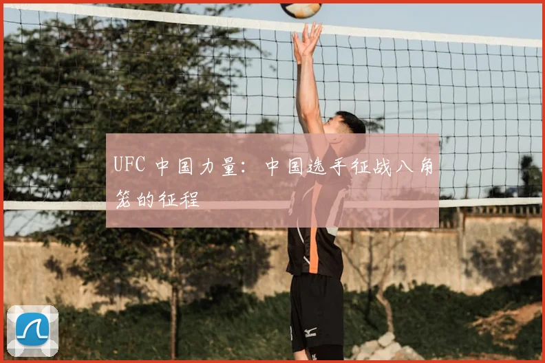 UFC 中国力量:中国选手征战八角笼的征程